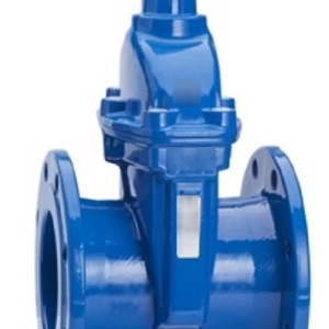 Flanged Gate Valve